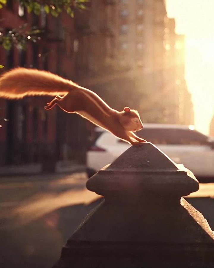 A squirrel leaps over a stone pillar as a white Toyota RAV4 drives past at sunrise