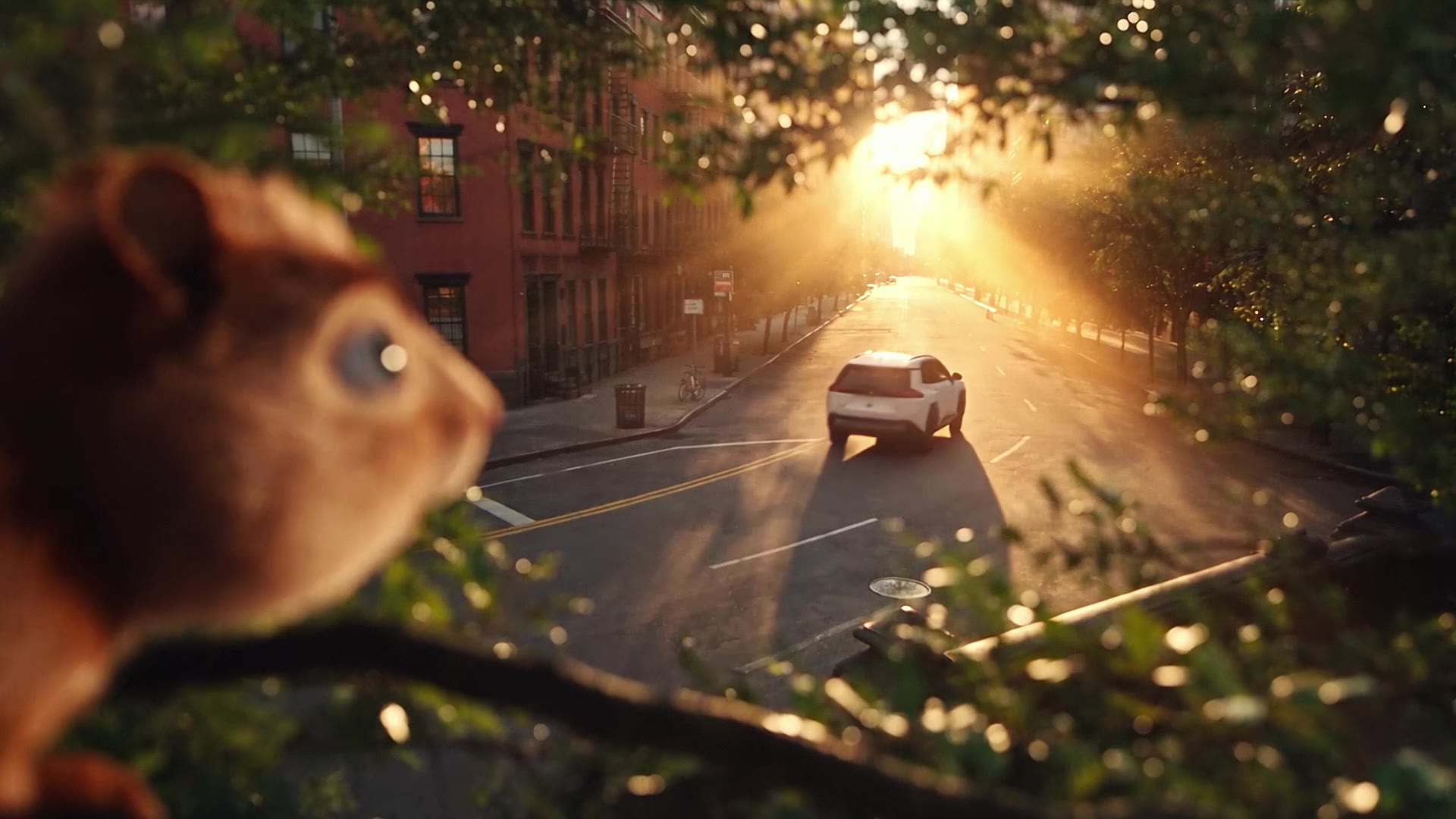 The squirrel watches the RAV4 from a tree branch at golden hour